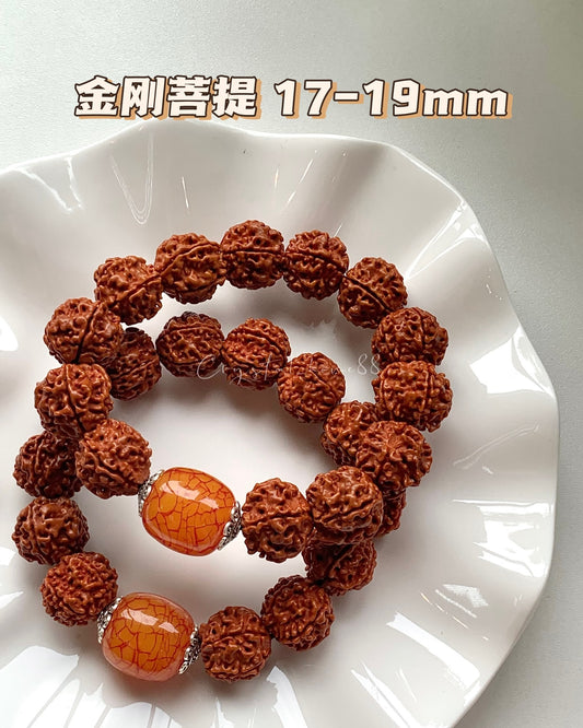 金刚菩提 Rudraksha